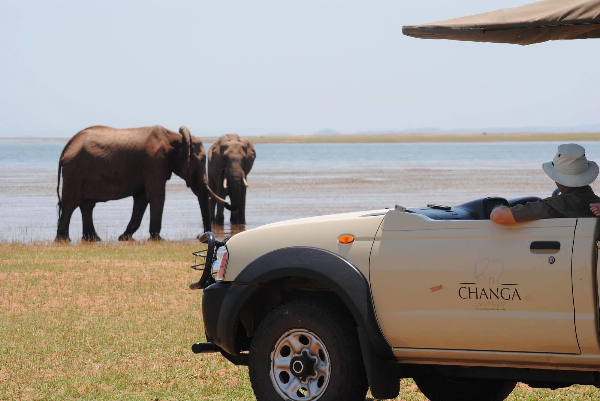 Changa Safari Camp Matusadona National Park Eksteriør bilde
