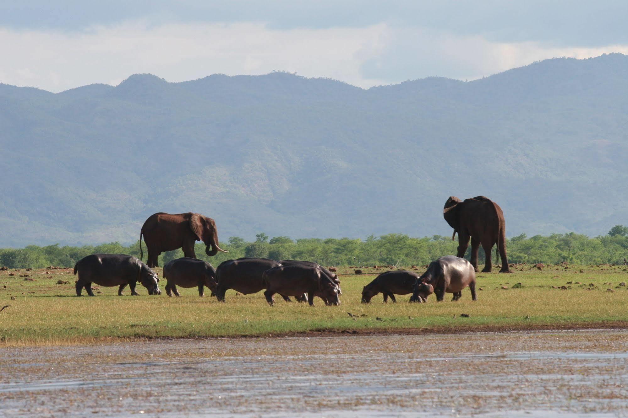 Changa Safari Camp Matusadona National Park Eksteriør bilde
